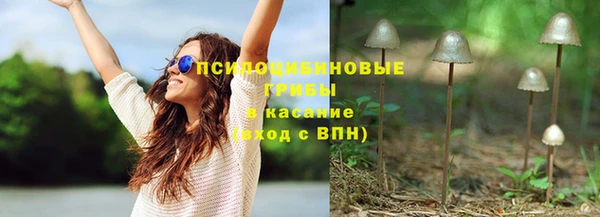 сатива Покровск