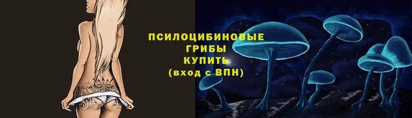 мет Надым