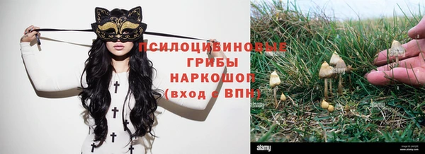 спиды Навашино