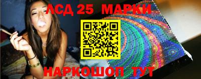 прущие грибы Гатчина
