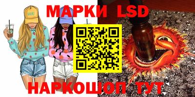 прущие грибы Гатчина