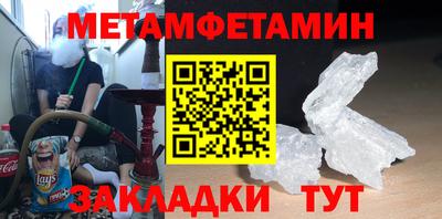 прущие грибы Гатчина