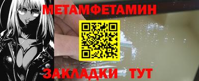 прущие грибы Гатчина