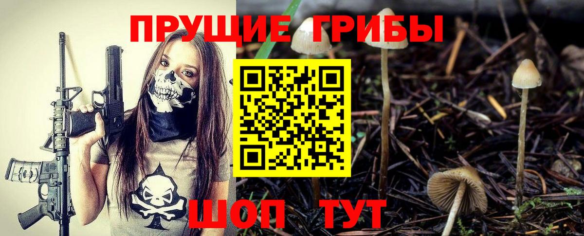 дарнет шоп  Кисловодск  Псилоцибиновые грибы ЛСД 