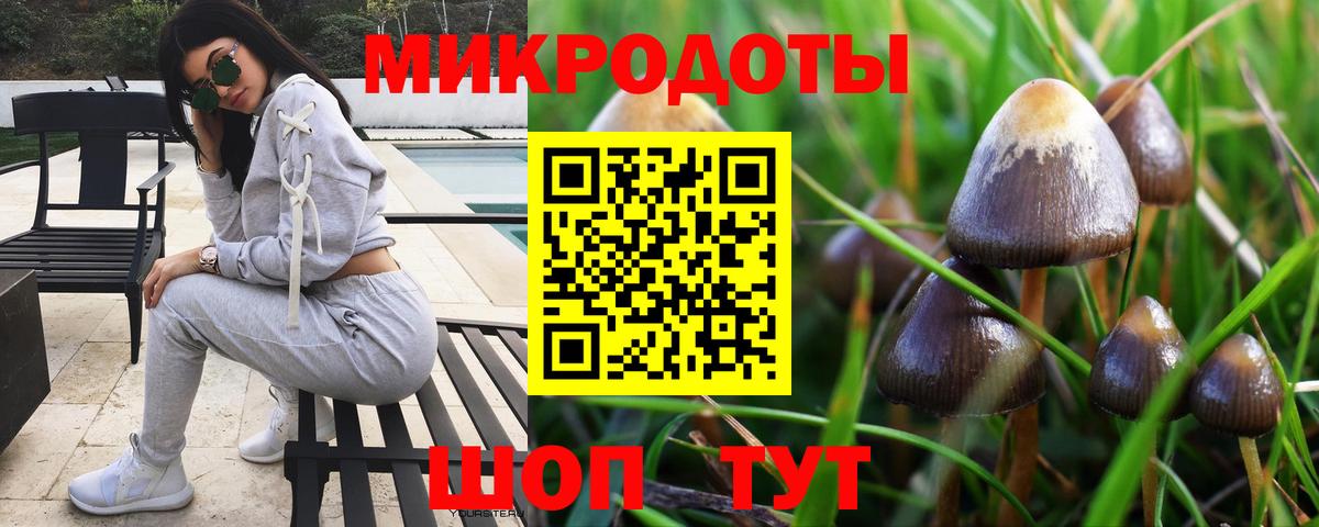 Псилоцибиновые грибы MAGIC MUSHROOMS Кисловодск