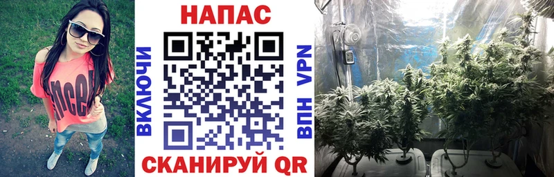 МАРИХУАНА план  Кисловодск 